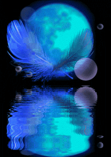 a0050302_3201919.gif