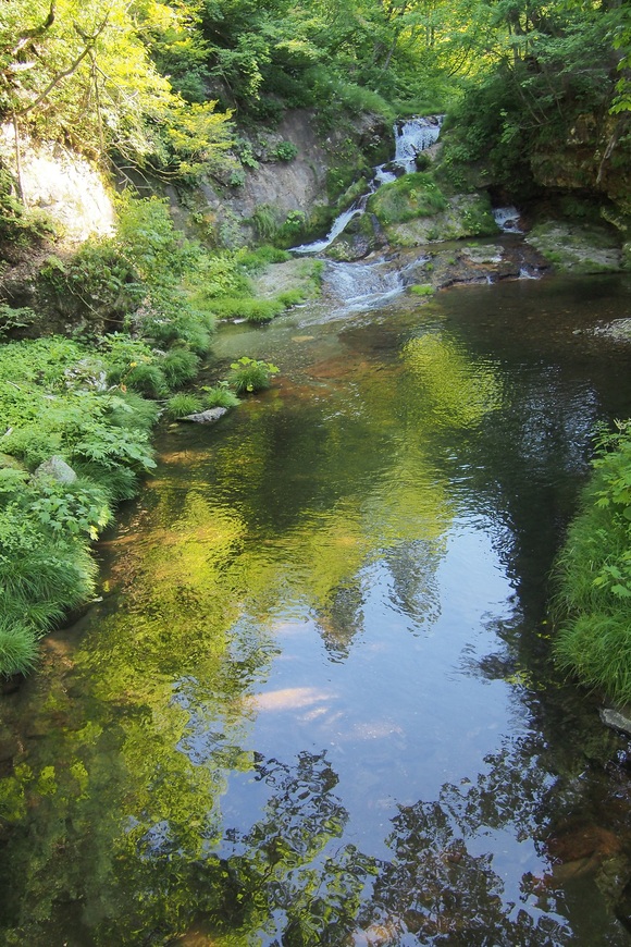 d0252505_20373416.jpg