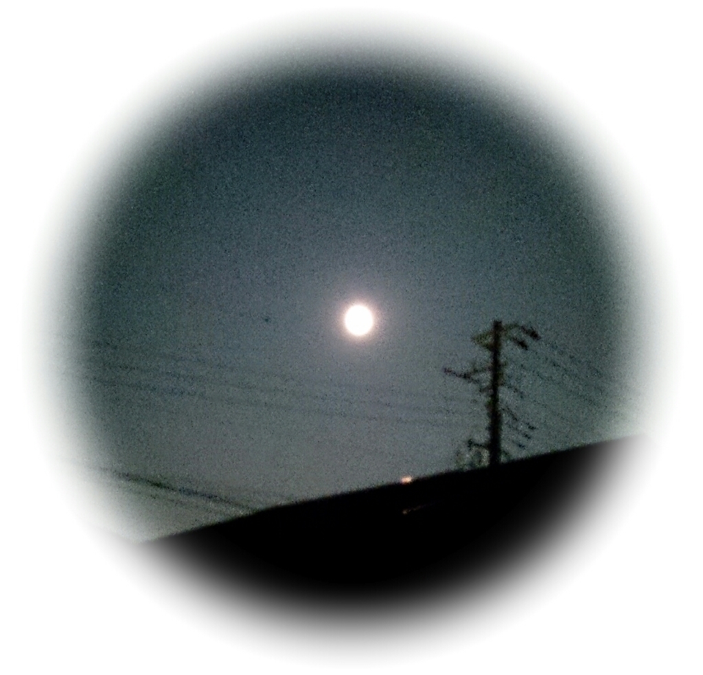 e0046305_12521220.jpg