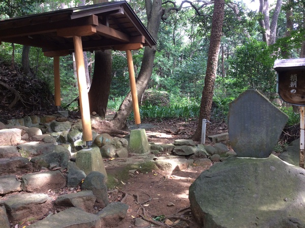 d0149306_8203972.jpg