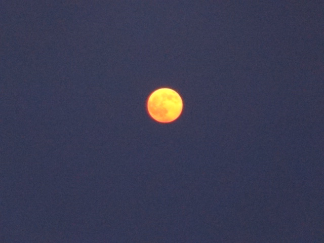 f0231709_3203289.jpg