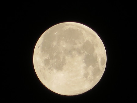 c0054212_1442669.jpg
