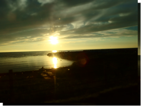a0114514_19362913.png