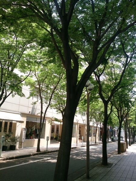 c0352015_19563618.jpg