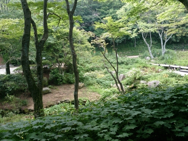 c0352015_19570561.jpg