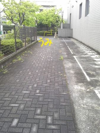 b0008217_16451779.jpg