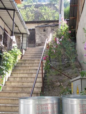 b0206831_1310712.jpg