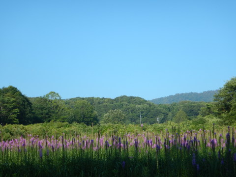 f0118332_23012172.jpg