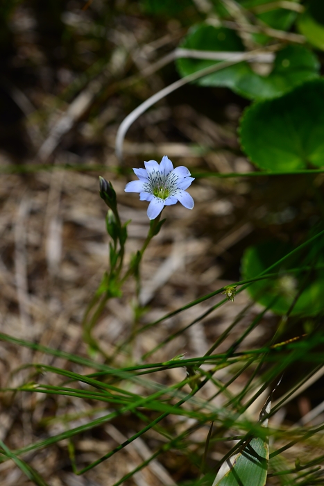 b0236334_11353738.jpg
