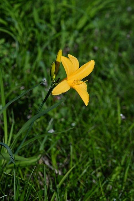 b0236334_11354622.jpg