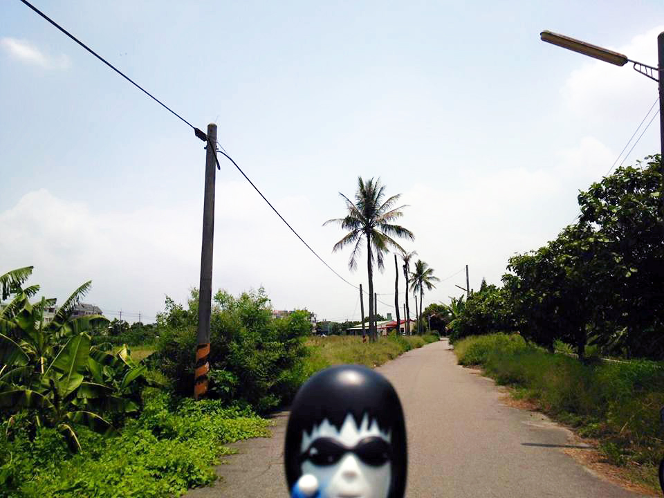 e0066135_175064.jpg