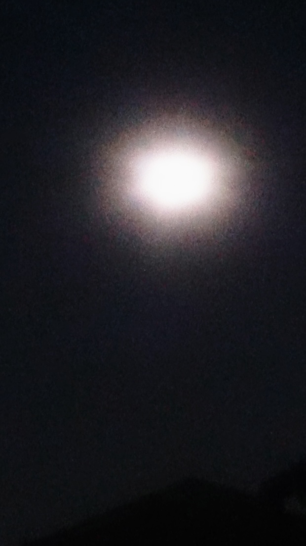 c0169239_1252585.jpg
