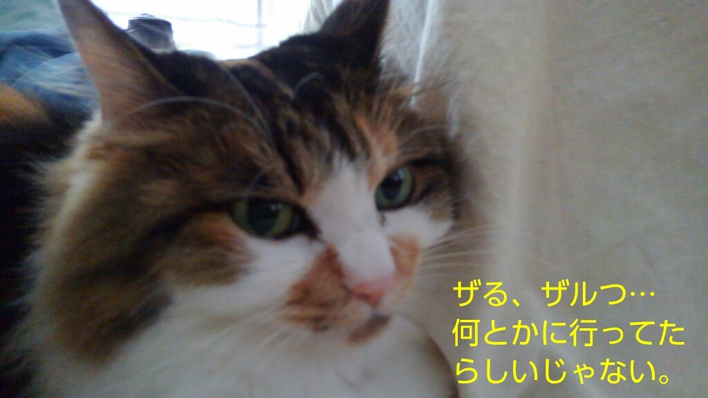 c0181639_21320106.jpg
