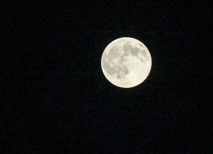 b0242140_21311518.jpg