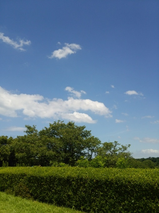a0335043_12060271.jpg
