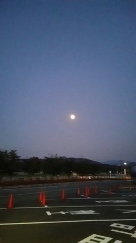 e0352849_09480941.jpg