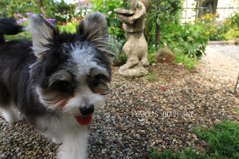 c0145250_10261173.jpg