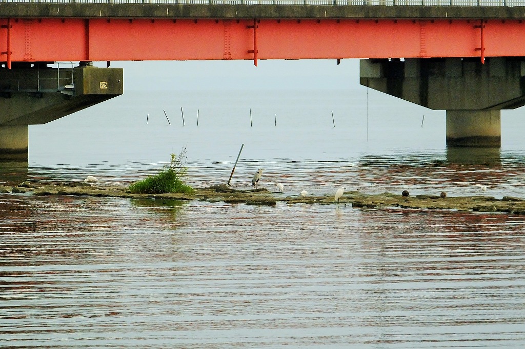 b0236251_10555715.jpg