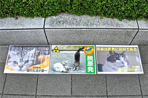 b0242956_21315925.jpg