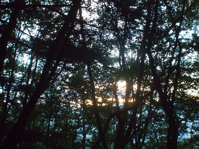 c0321967_19193594.jpg