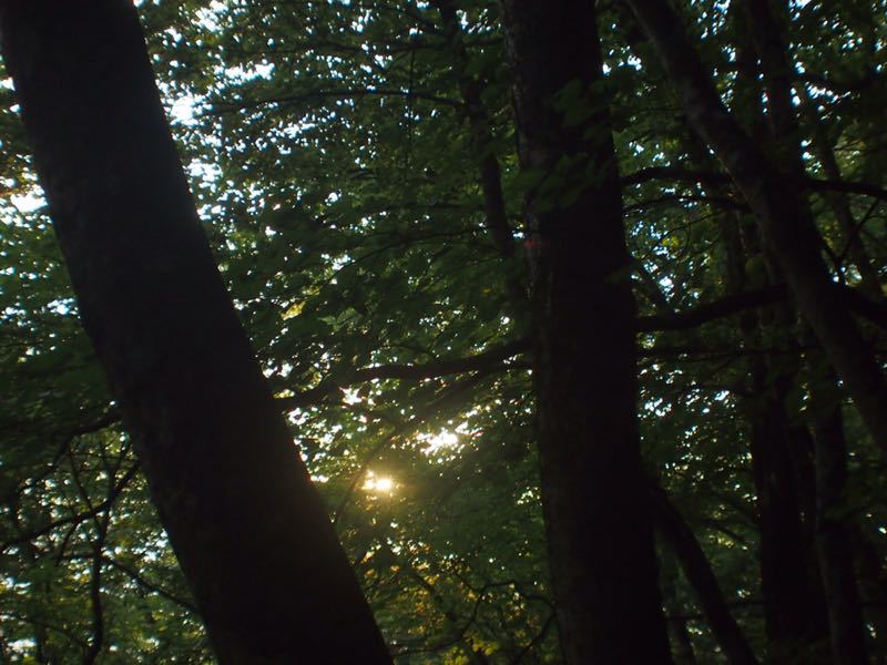 c0321967_19193645.jpg