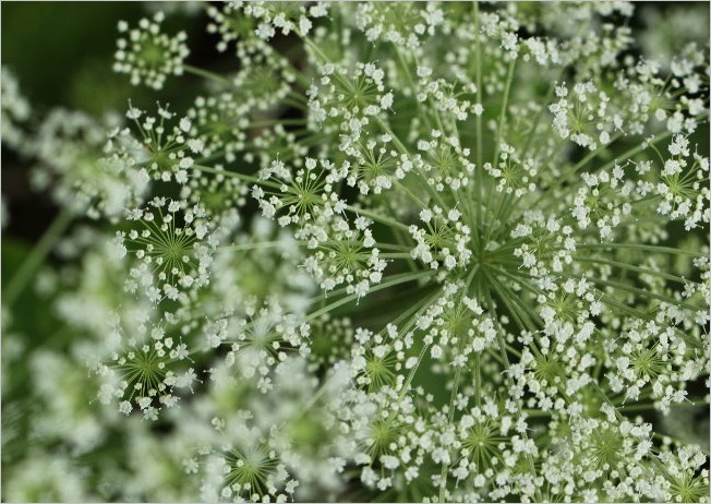 f0181173_2133578.jpg