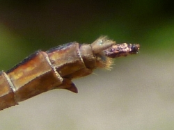 d0240983_704479.jpg