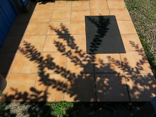 e0130185_11522114.jpg