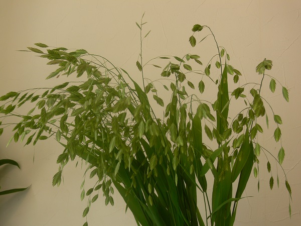 e0140986_1575537.jpg