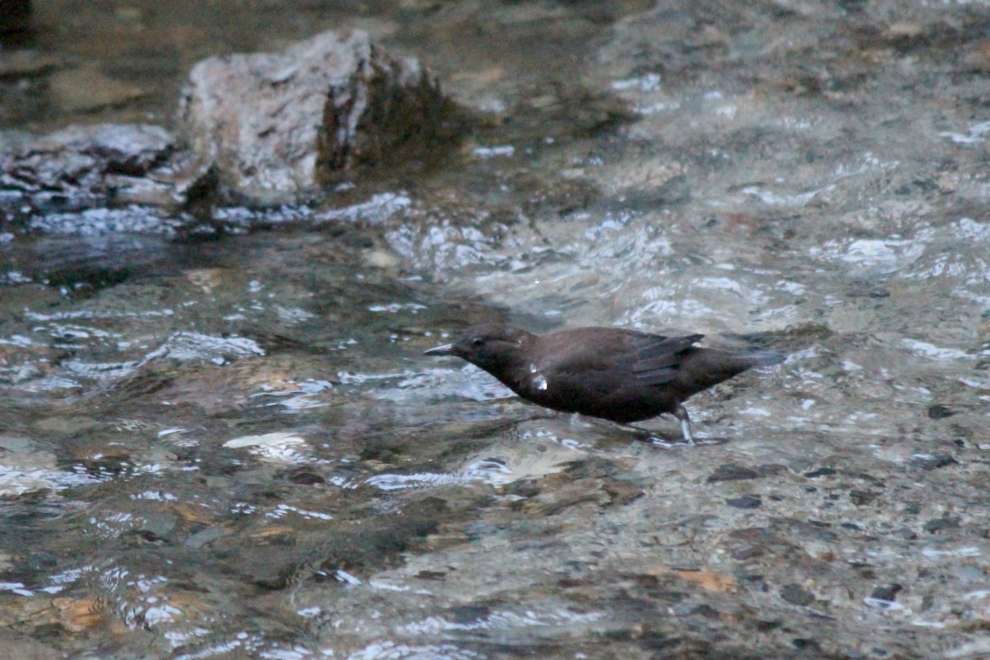 a0127090_2033104.jpg