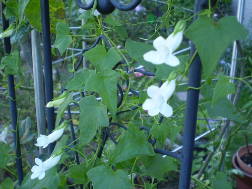 a0135990_2261050.jpg