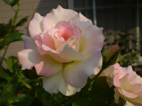 a0135990_2263367.jpg