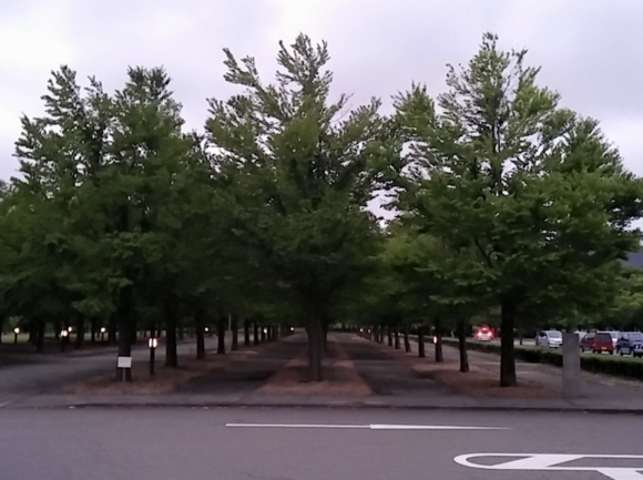 c0214190_9445537.png