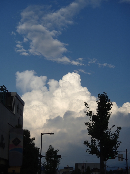 b0147093_1712381.jpg