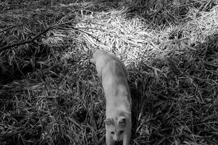 f0239100_2374042.jpg