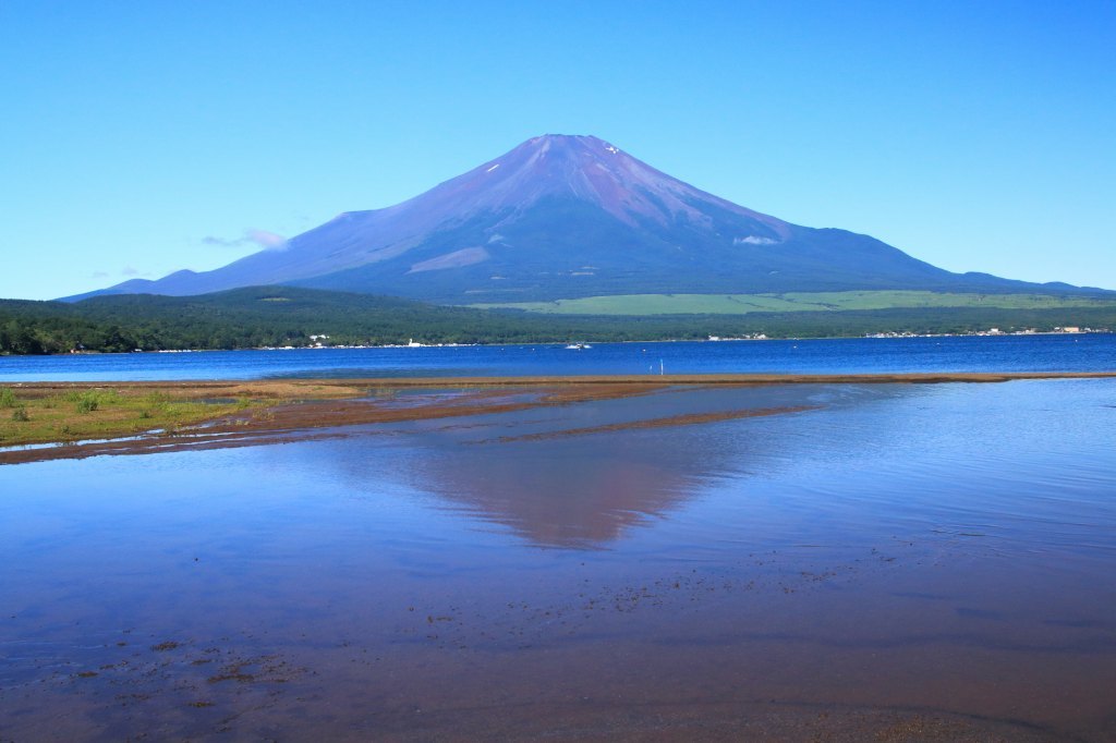 a0188405_06564048.jpg