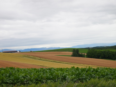 a0185007_10373976.jpg
