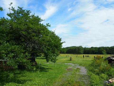 a0185007_11041259.jpg