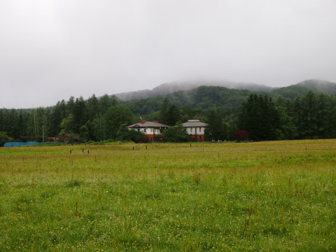 a0185007_11051493.jpg