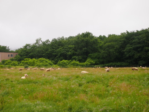a0185007_11055190.jpg