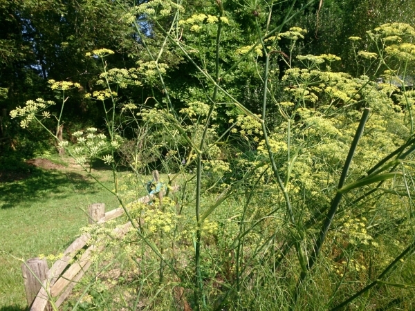 c0352015_14504704.jpg