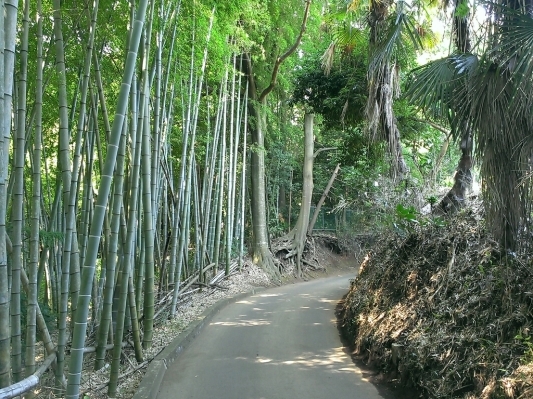 c0084117_13575683.jpg