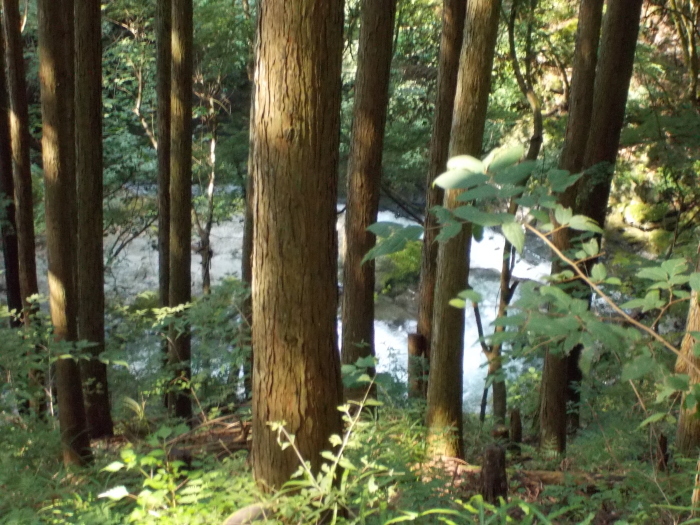 b0037220_12130251.jpg