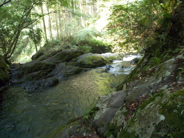 b0037220_12142630.jpg