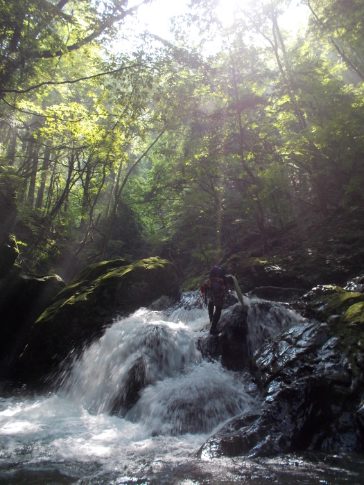 b0037220_12181109.jpg