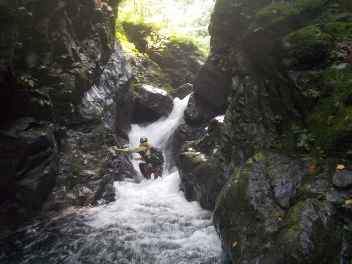 b0037220_12204004.jpg