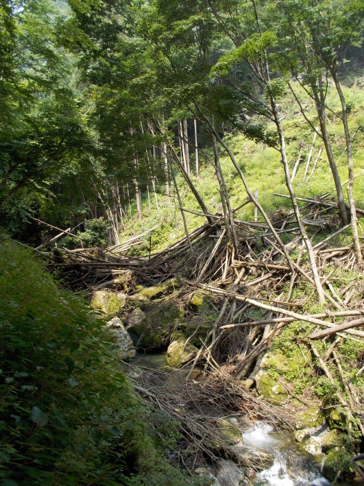 b0037220_12291956.jpg