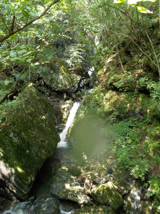 b0037220_12294134.jpg
