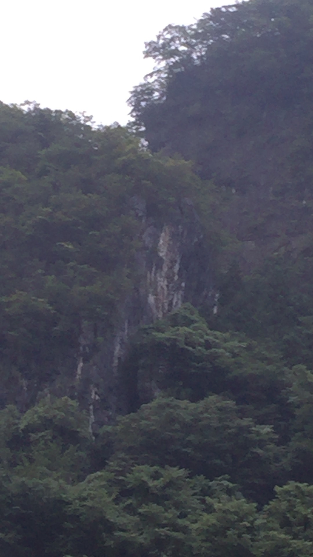 b0037220_12320846.jpg