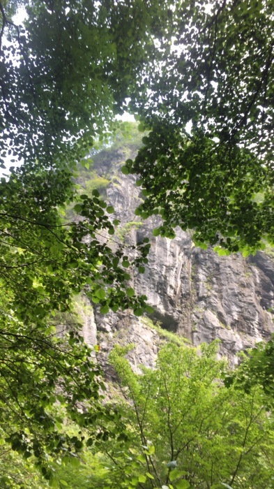 b0037220_12324736.jpg